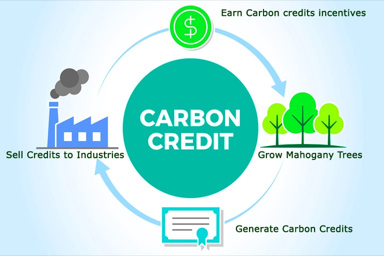 how to earn carbon credits